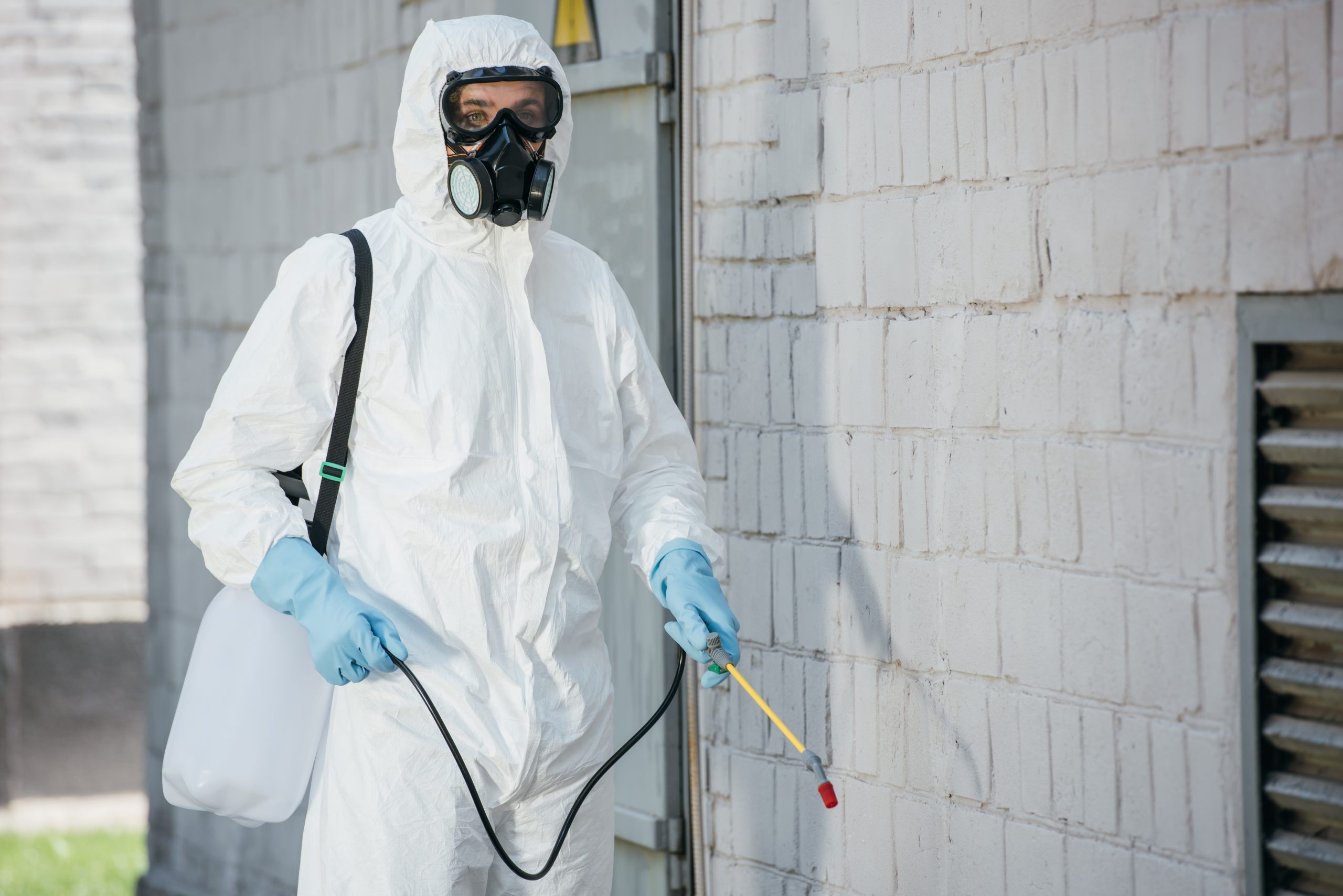 pest control worker in respirator spraying pesticides with sprayer on building wall